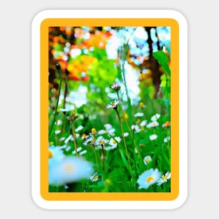 White Daisy Summer Fashion Sticker